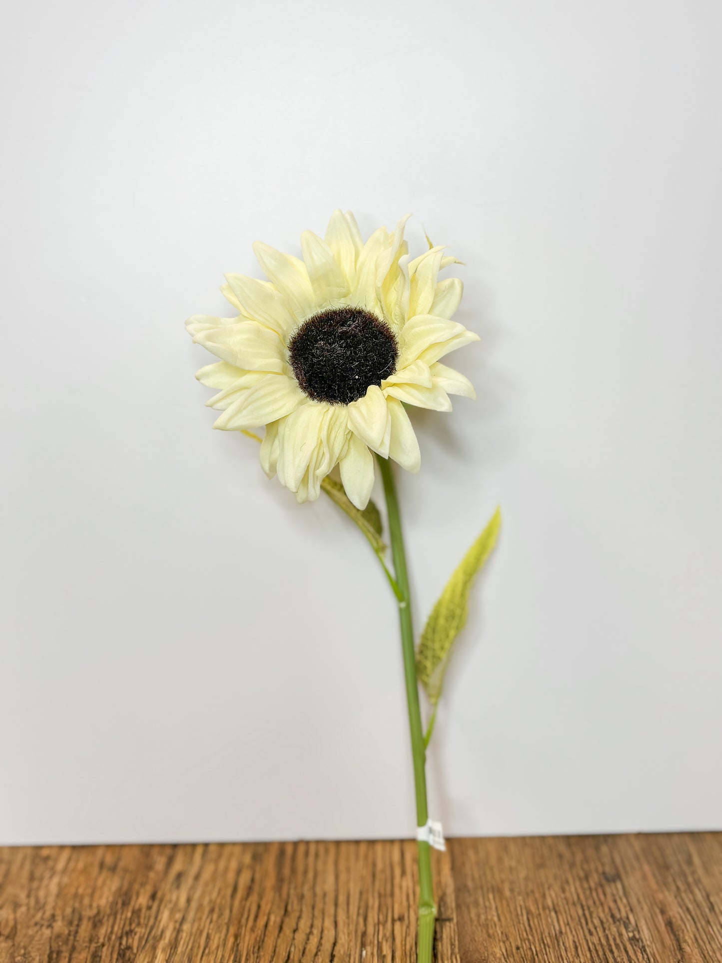 21 Inch Cream Sunflower Stem