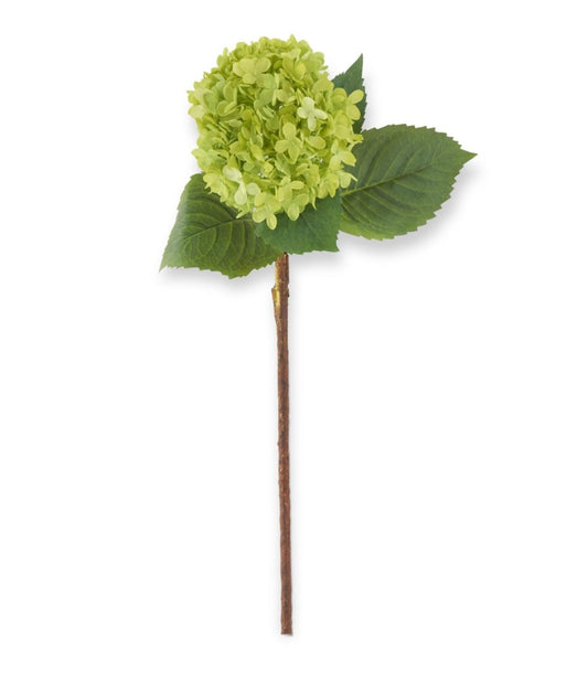 29" Green Hydrangea Stem