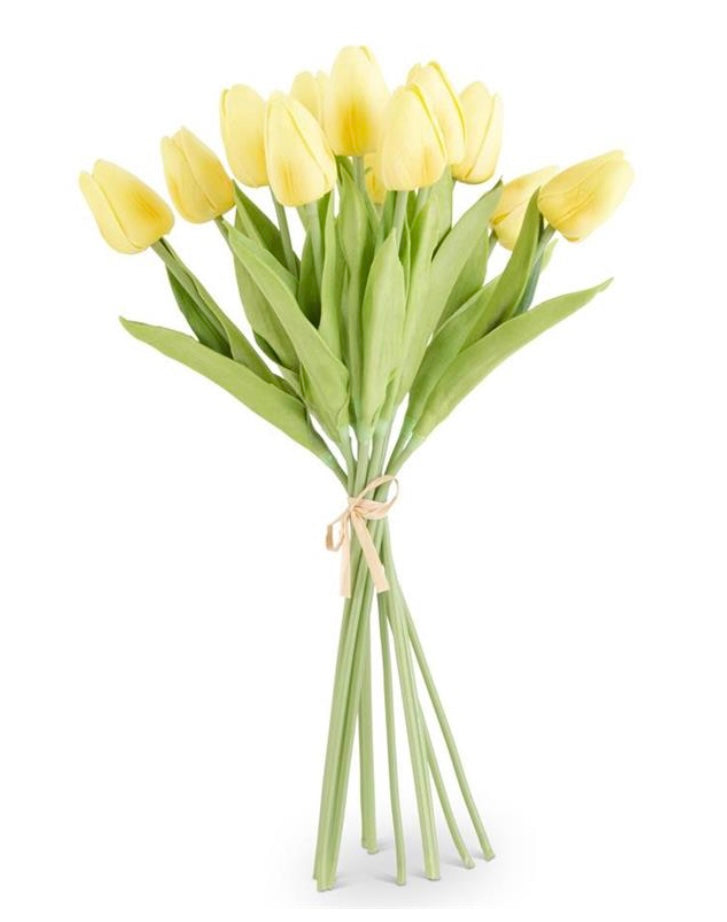 Light Yellow Mini Tulip Bundle (12)