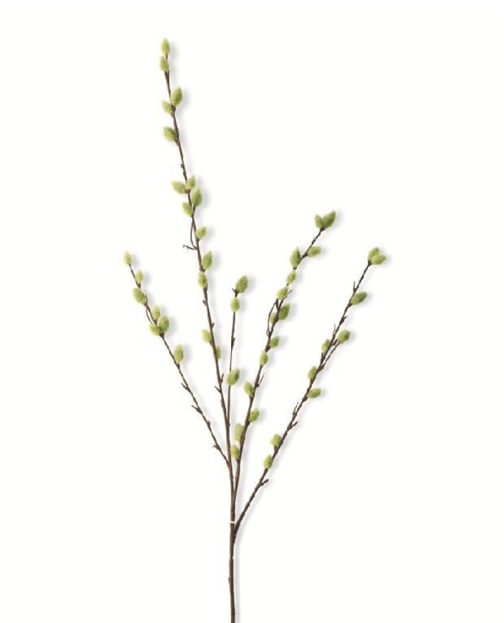 Pussy Willow Stem 31”