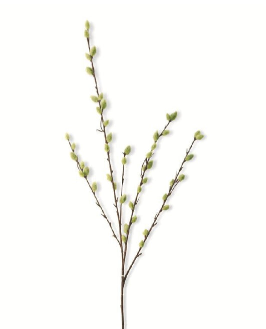 Pussy Willow Stem 31”