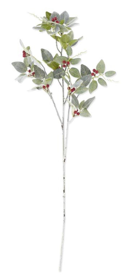 36” Glittered & Flocked Fittonia Stem w Red Berries