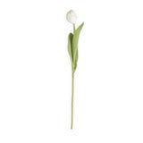 26.75” White Silk w Real Touch Single Tulip Stem