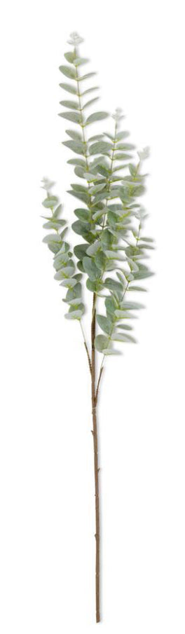 38” Light Green Gunnil Eucalyptus Stem