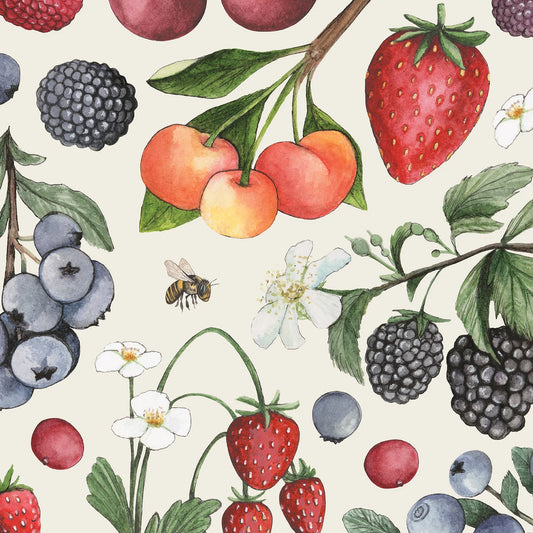 Wild Berry Placemat-24