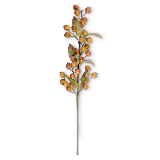 32 inch Orange w/ Green Rosehip Stem