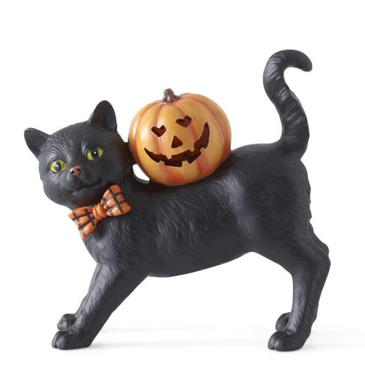 6.75 inch Black Cat & LED Jack o Lantern w/ Timer