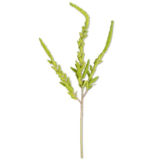 Green Amaranthus Stem 37”