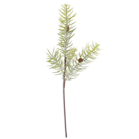 Powdered Long Pine Stem w Mini Pinecones 28”