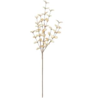 Beige Eucalyptus Stem 34”