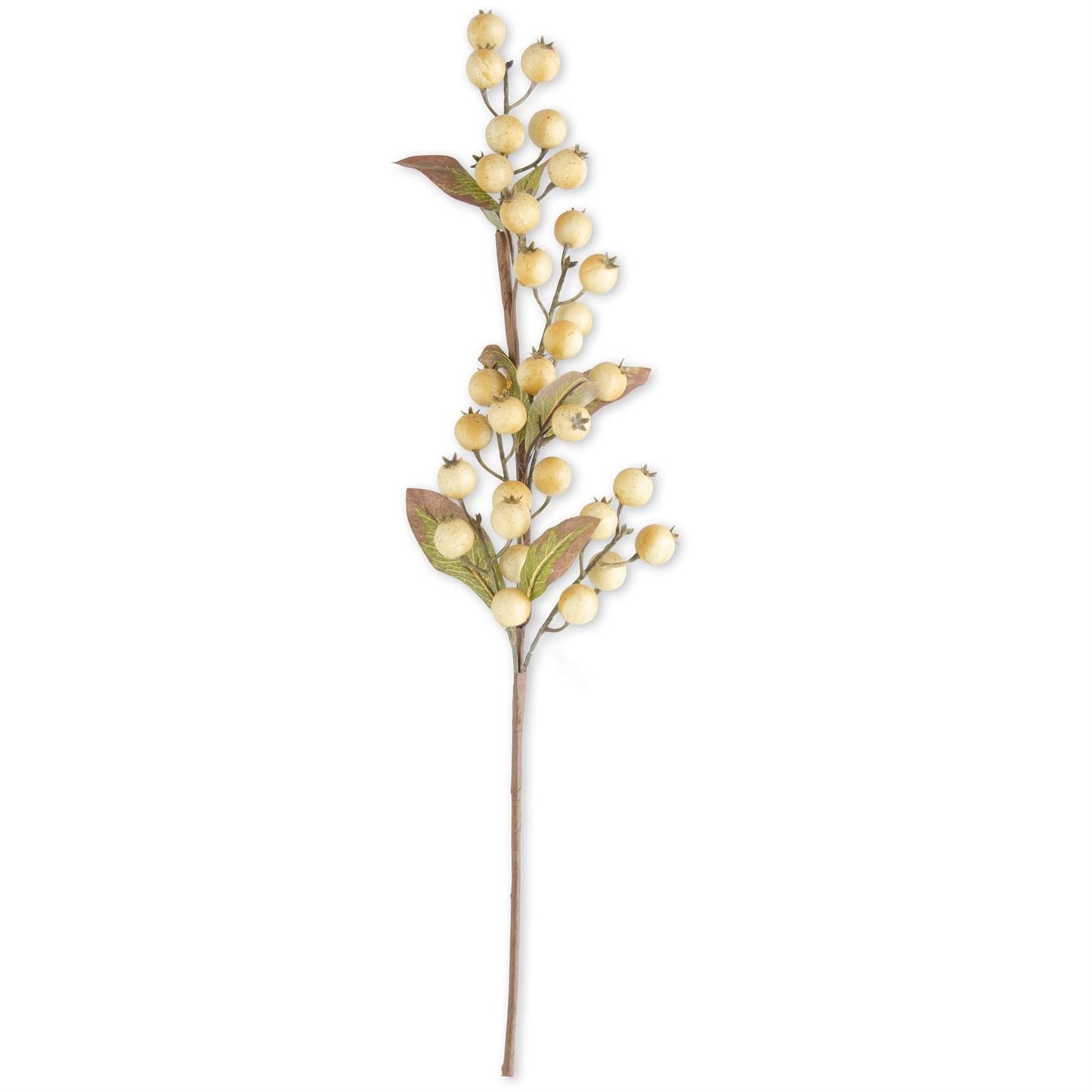 Cream Rosehip Stem 32”